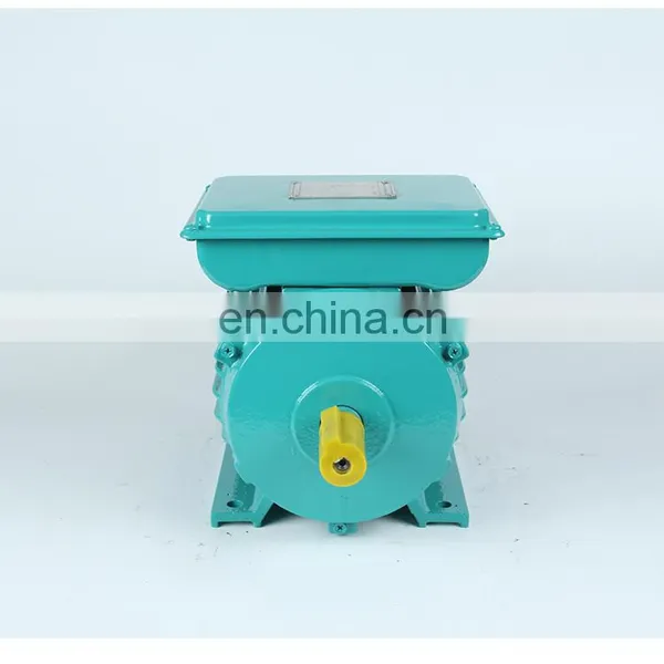 YL Series Two-value Capacitor Monophase Motor 110v/220v 60hz 2.2kw 3400rpm 1700rpm Metal Box in Peru Market Electric Motor photo-2