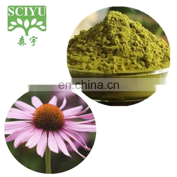 Bulk 4% Polyphenol Echinacea Purpurea Extract Powder photo-2