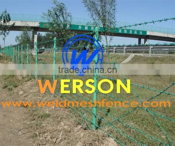 PVC Coated Barbed Wire photo-5