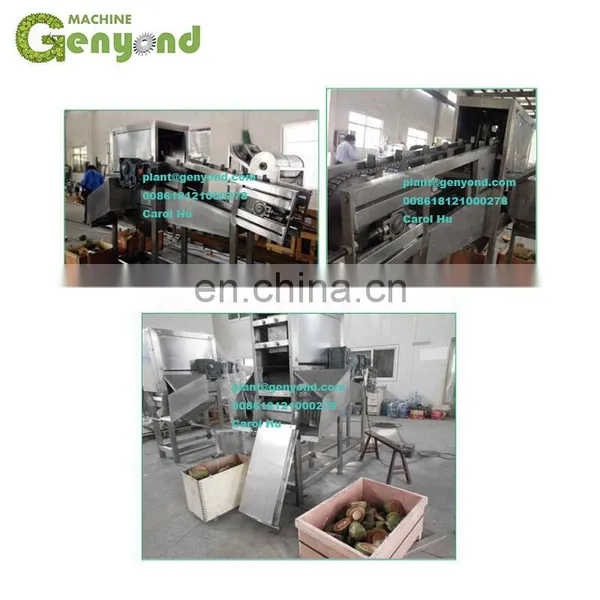 Professional Factory Coconut Water Processing Plant Cost photo-3