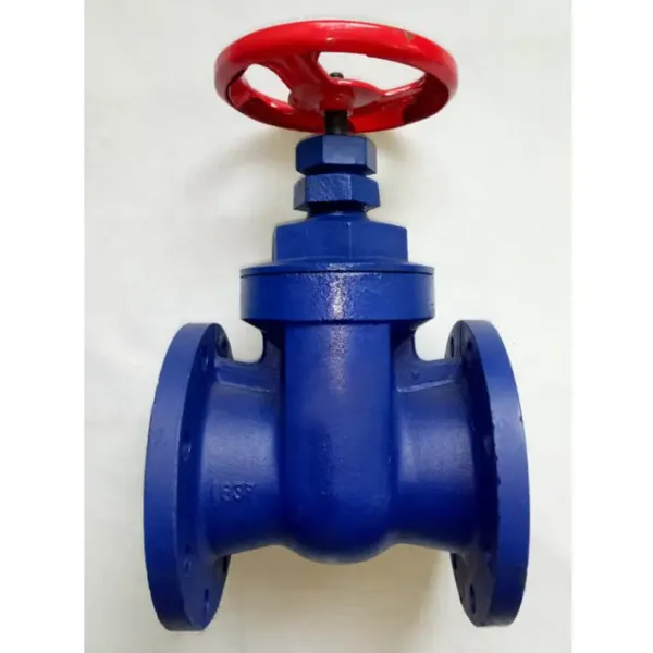 BS DN100 DN150 PN16 Gray Cast Iron HT200 Ductile Iron Flange Gate Valve photo-4