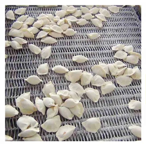 Shanghai Quick Freeze Blast Freezer for Fish Meat & Ice Cream CE Approved Cold Room Storage