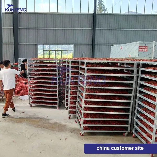 Cashew and Macadamia Fruit Drying Machine Hot Air Nut Peanut Drying Room EPC photo-4