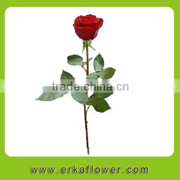 Diversified in Packaging Rose Wedding Bouquets photo-5