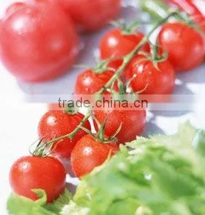 2010 Crop 36-38%cold Break Tomato Puree
