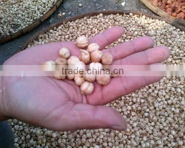 Cardamom / Pai Tong Qua From Indonesia is the Best photo-3