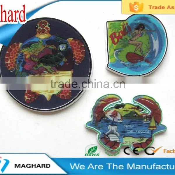 New Special 3D Effect Polyresin Fridge Magnet Promotion photo-2