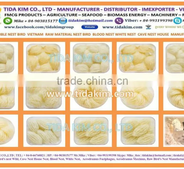 CAULERPA LENTILLIFERA FRESH SEAGRAPES - SEAWEED VIETNAM GREEN CAVIAR OKINAWA DEHYDRATED JAPAN TIDA KIM OEM PRODUCTION SEAFOOD photo-6