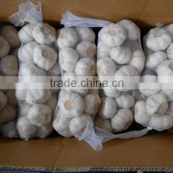 CHINA FRESH GARLIC photo-3