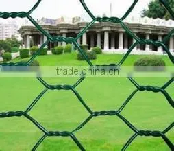 Anping Factory Gabion Box for Rock Protection photo-2