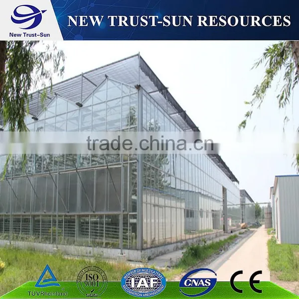 Polycarbonate/PC Multi-span Agricultural Greenhouse photo-2