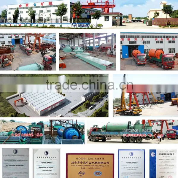 CIL and CIP Process Plants for Gold Mining in Tanzania photo-3