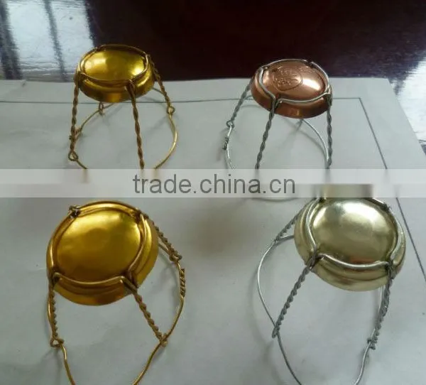 Champagne Wire Hood