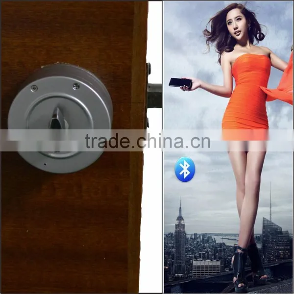 Hot Sales Smart Electric Electric Magnetic Door Lock Outdoor photo-5