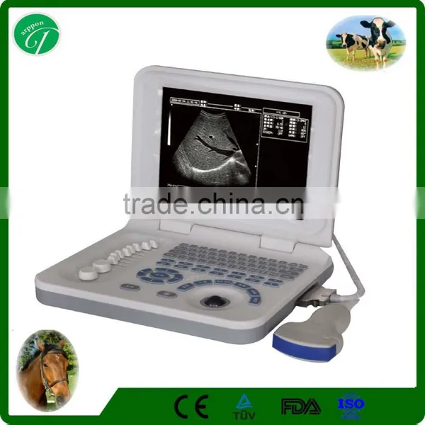 Medical Laptop Sleek Ultrasound Scan Machine Cheapest Ultrasound for Vet