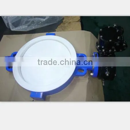 Cheap Price PTFE Lined DN100 Butterfly Valve photo-3