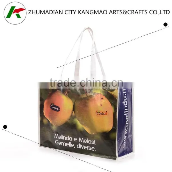 Custom Made Beautiful Paper Shopping Bag Avon Audit