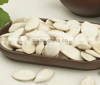 Snow White Pumpkin Seeds , Pumpkin Seeds in Shell photo-3