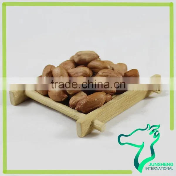 Red Skin Peanut Seeds For Sale photo-2