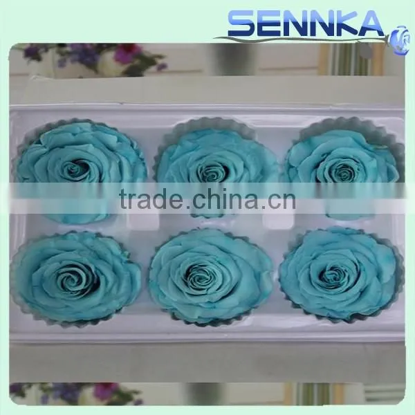Single Natural Eternal Preserved Rose Head Wholesale photo-3