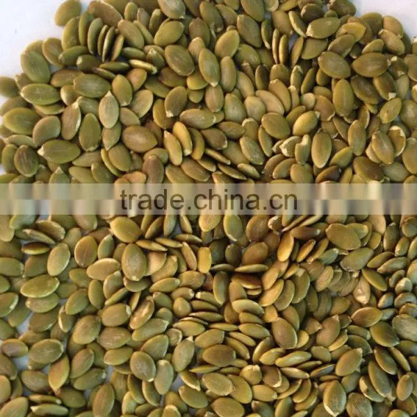 Wholesale Pumpkin Seeds Shine Skin Grade A photo-2