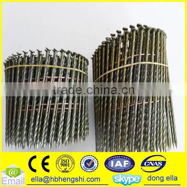 Industry Use Cheap Stainless Steel Coil Nail photo-3