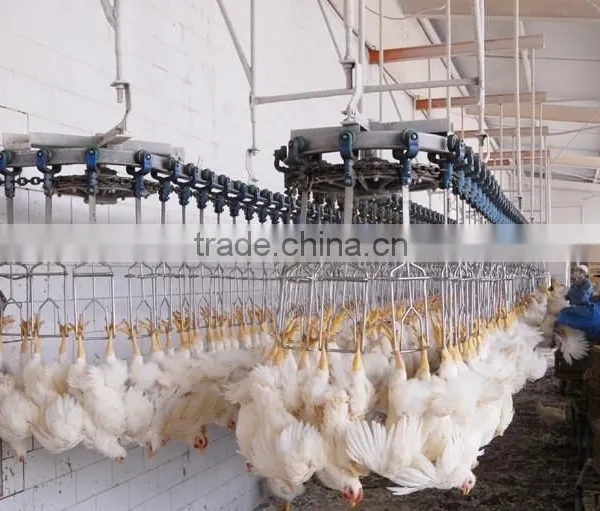 Chicken Slaughter House/poultry Processing Plant Machinery