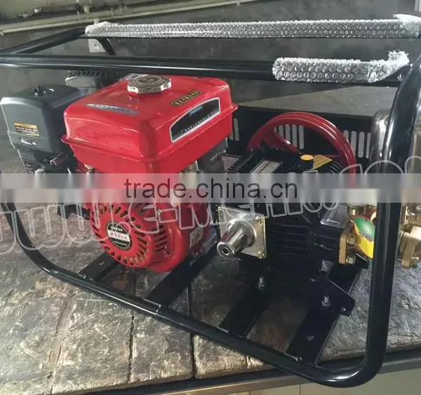 Portable/Trolley/Frame 6.5HP Gasoline Engine Power Sprayer For Agricutural Irrigation photo-3
