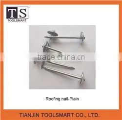Flat Head Roofing Nail for Burundi photo-2