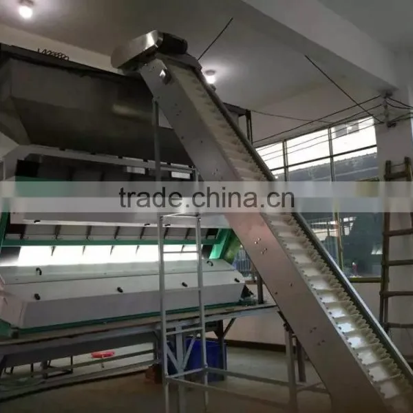 Smart Optical CCD Peeled Garlic Color Sorting Machine photo-6