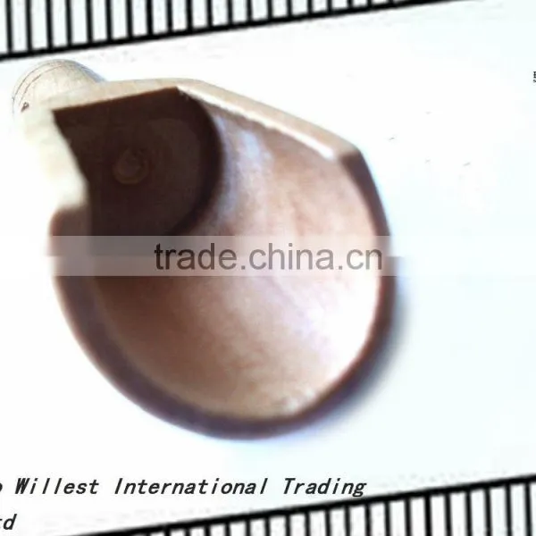 Wood Spoon for Coffee Bean photo-2