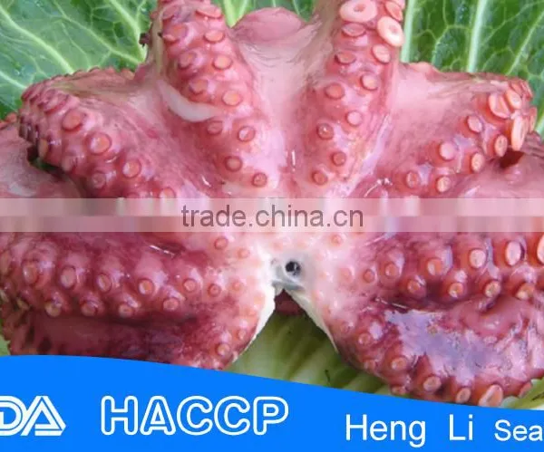 Frozen Whole 200g Seasoned Wasabi Octopus photo-3
