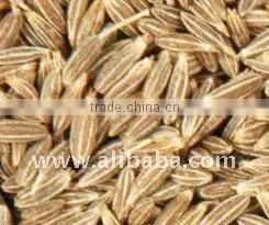 Cumin