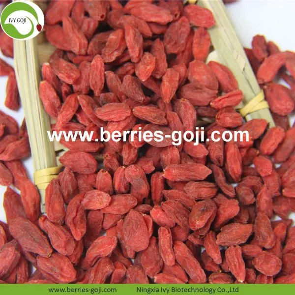 Factory Supply Dried Ningxia Goji Berries