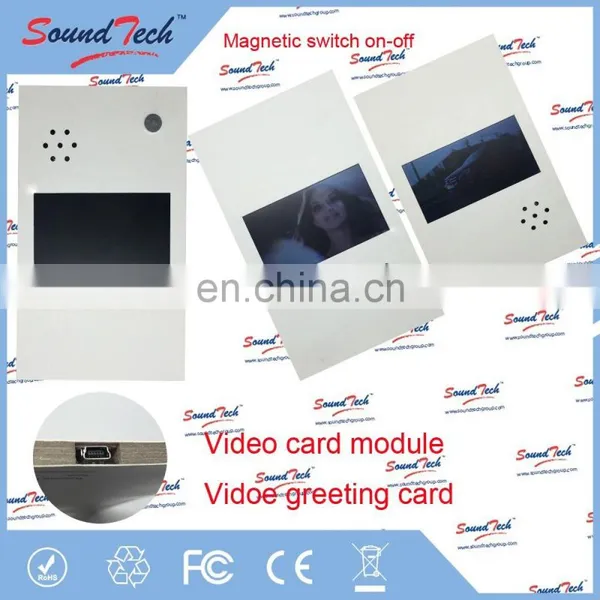Whole World Regional Feature and Greeting Card Card Type Video Brochure, Video Boxes for Brochures photo-5