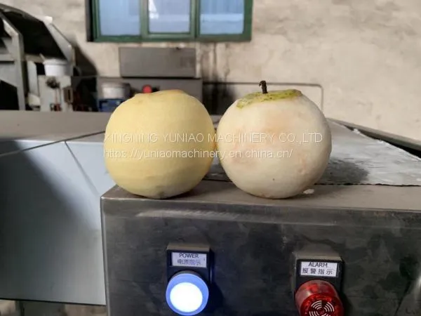 Industrial Apple Peeler Corer Slicer Automatic Apple Orange Lemon Peeling Machine WT/8613824555378 photo-4