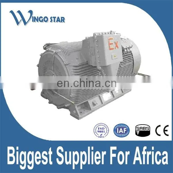 High Voltage Mining Explosion Proof ATEX Induction Electric Motor photo-4