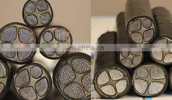 China Leading Supplier 0.6/1KV XLPE Insulated Power Cable YJLV YJV photo-4