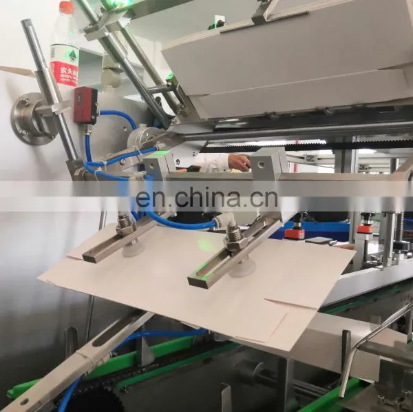 Automatic Box Cartoning Packing Machine for Butter Cookie Bag photo-5
