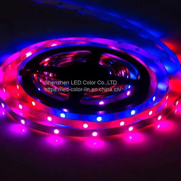 LC8812 Ws2812 Cheap Led Light Strip 5v for Home Hotel Park photo-3