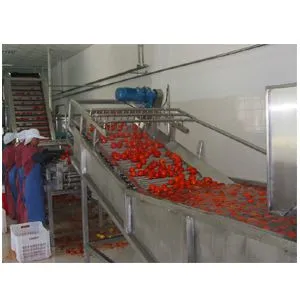 Automatic Complete Full Line Tomato Paste Sauce Ketchup Factory Plant Processing Machine photo-3