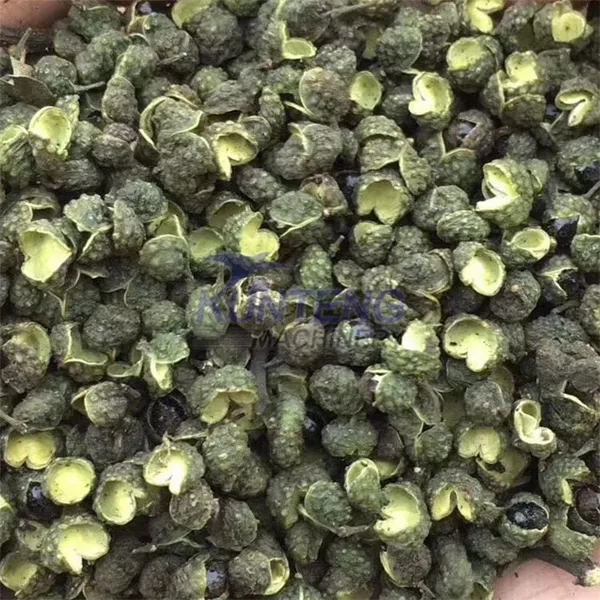 Heat Pump Air Dryer Room Hay Straw Black Pepper Drying Machine Sri Lanka Grapes Drying Machine EPC photo-5