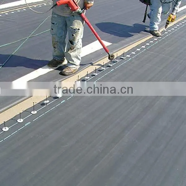 Thin Waterproof Polyester Fabric Polyester Waterproof Fabric photo-4