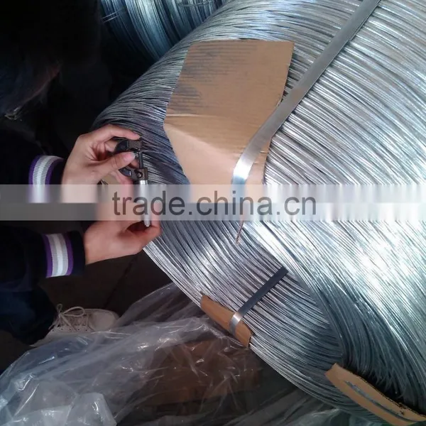 Hot Dipped Galvanized Wire photo-4