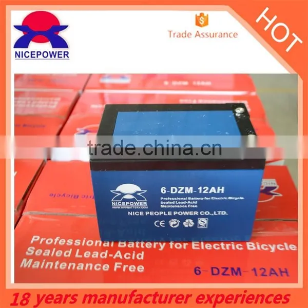 Canton Fair 2015 12v 24v 12ah Rechargeable Motor Battery