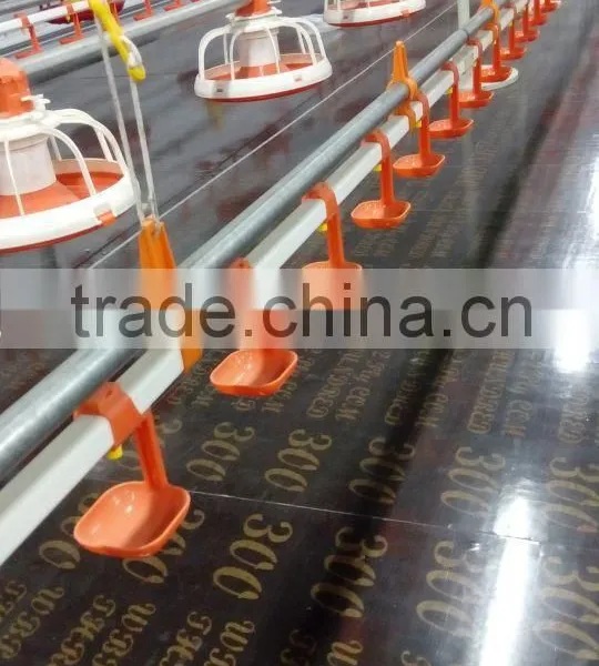 Broiler Chicken Raising Equipment photo-2