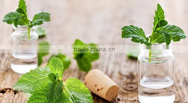 100% Natural Peppermint Oil | Pure Peppermint Oil For Export photo-3
