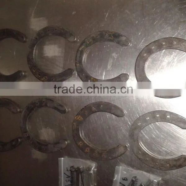 Horseshoe, Equestrian, Horseshoe Nail photo-4