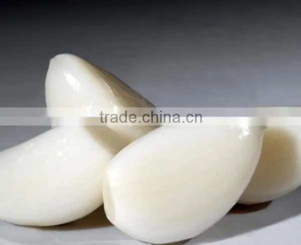 2016 Fresh Natural White Garlic or Red Garlic photo-2