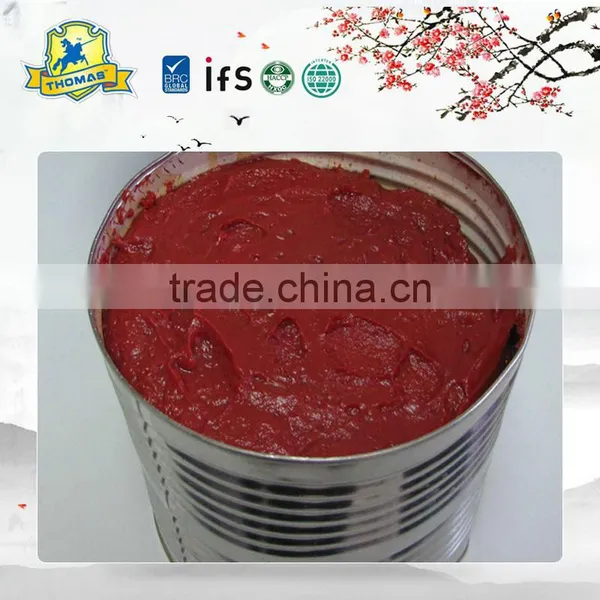 China Canned Tomato Paste photo-3